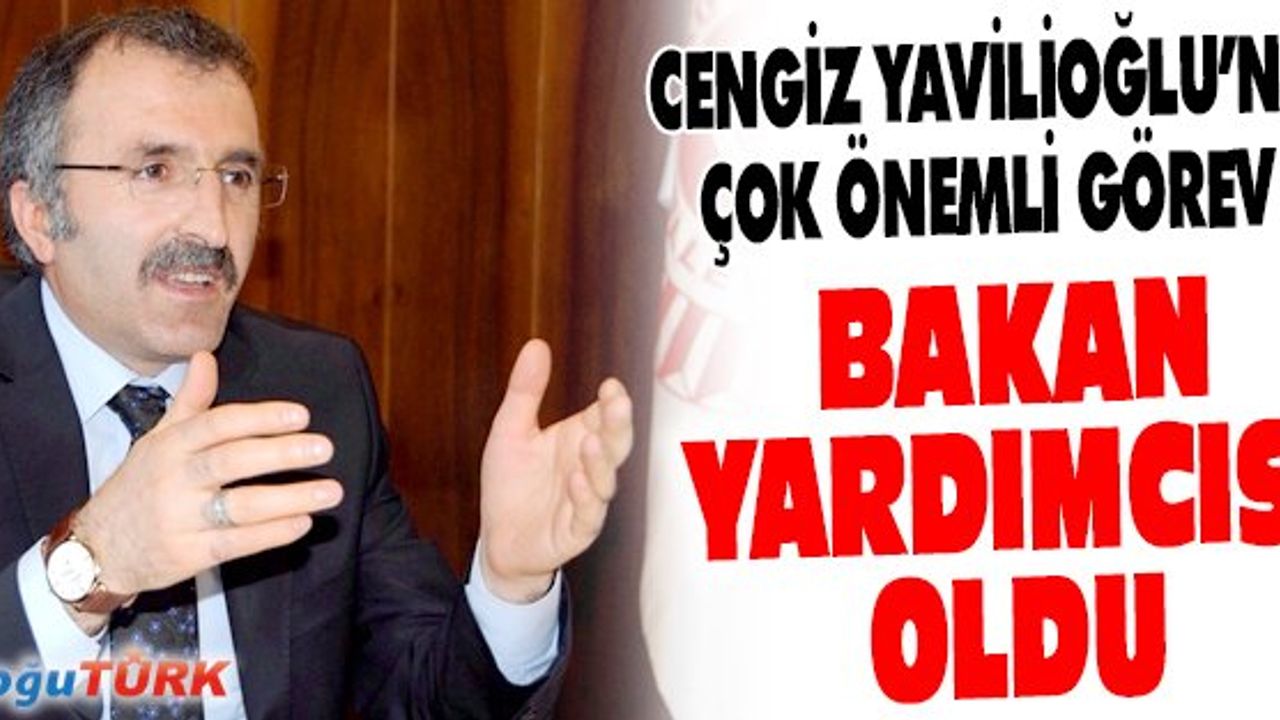 CENGİZ YAVİLİOĞLU BAKAN YARDIMCILIĞI'NA ATANDI