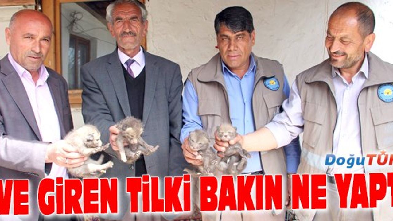 EVE GİREN TİLKİ ÖYLE BİR ŞEY YAPTI Kİ...