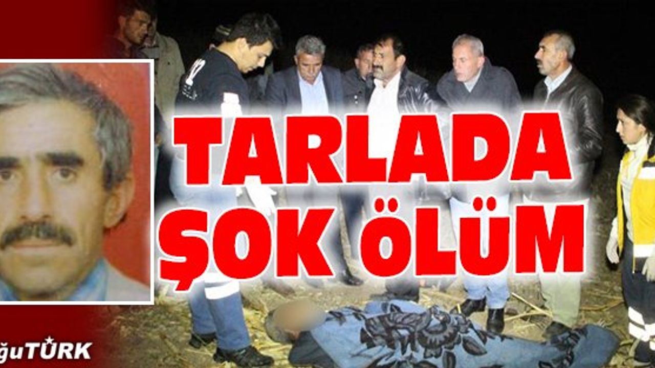 TARLADA KALP KRİZİ GEÇİREN ÇİFTÇİ HAYATINI KAYBETTİ