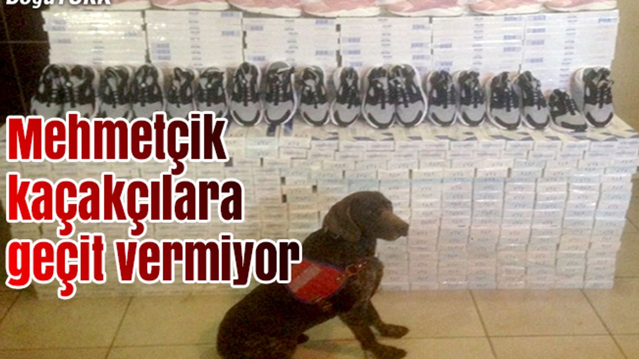 54 bin paket sigara, 100 çift...