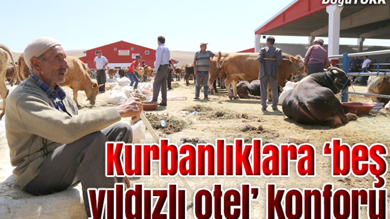 Kurbanlıklara "beş yıldızlı otel" konforu