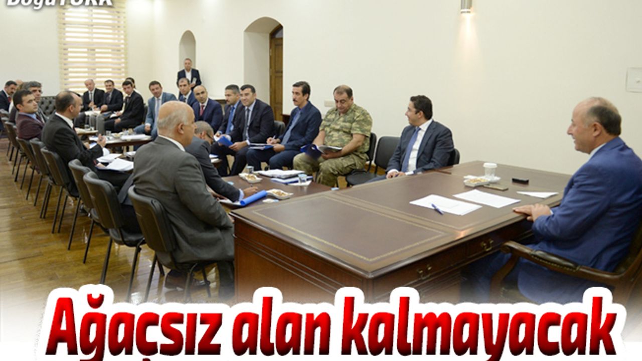 "Erzurum'da ağaç olmayan alan bırakmayacağız"