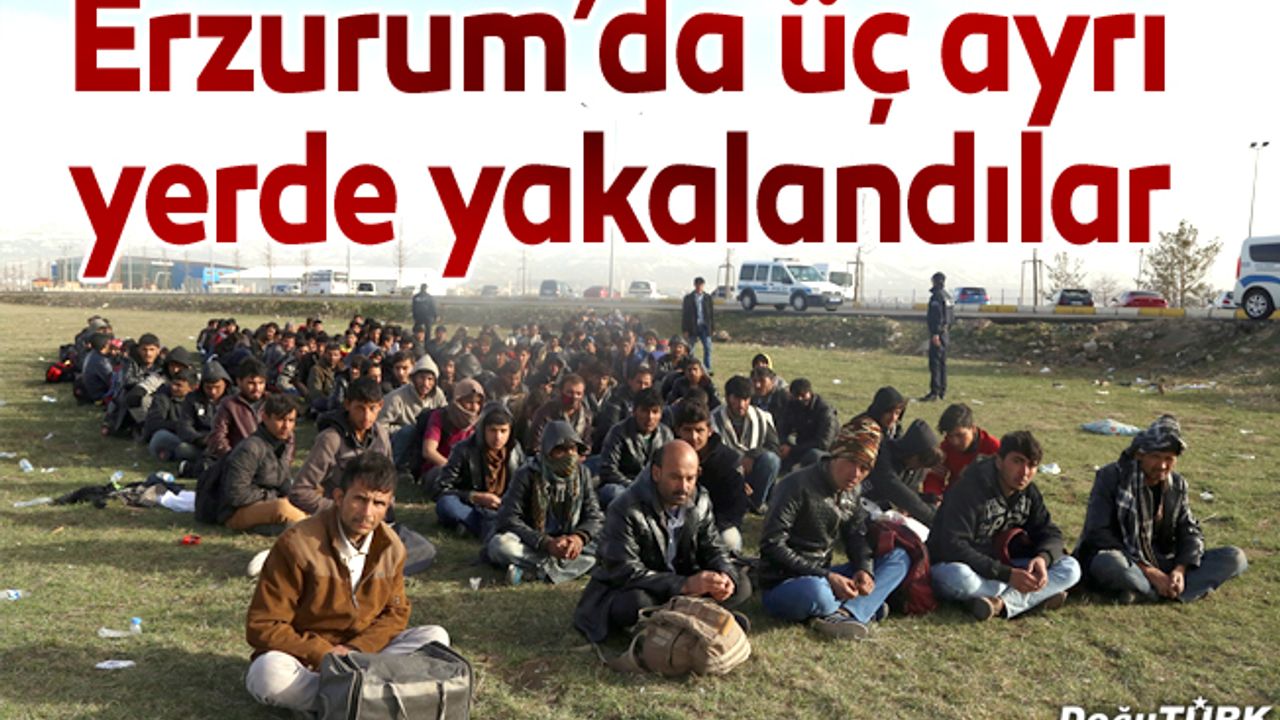 Erzurum'da 194 kaçak göçmen yakalandı