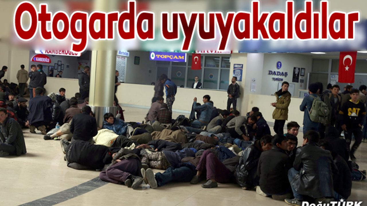 Erzurum'da yakalanan kaçak göçmenler otogarda uyuyakaldı