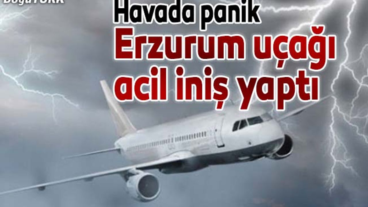 Erzurum uçağı, Trabzon'a acil iniş yaptı