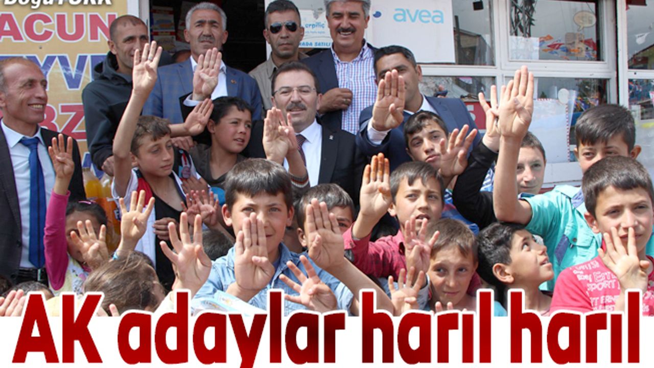 Ak Parti adayları yatırım ve projeleri anlatıyor