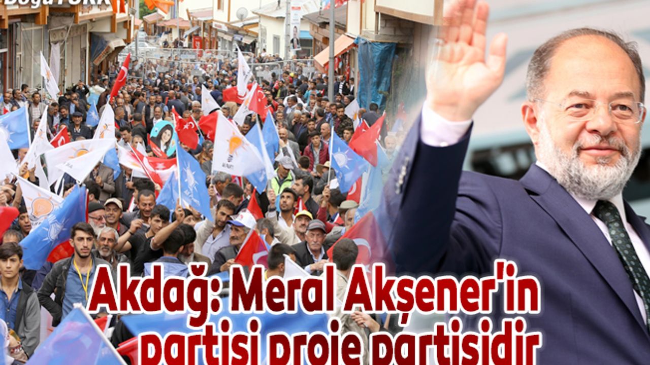 "Meral Akşener'in partisi proje partisidir"
