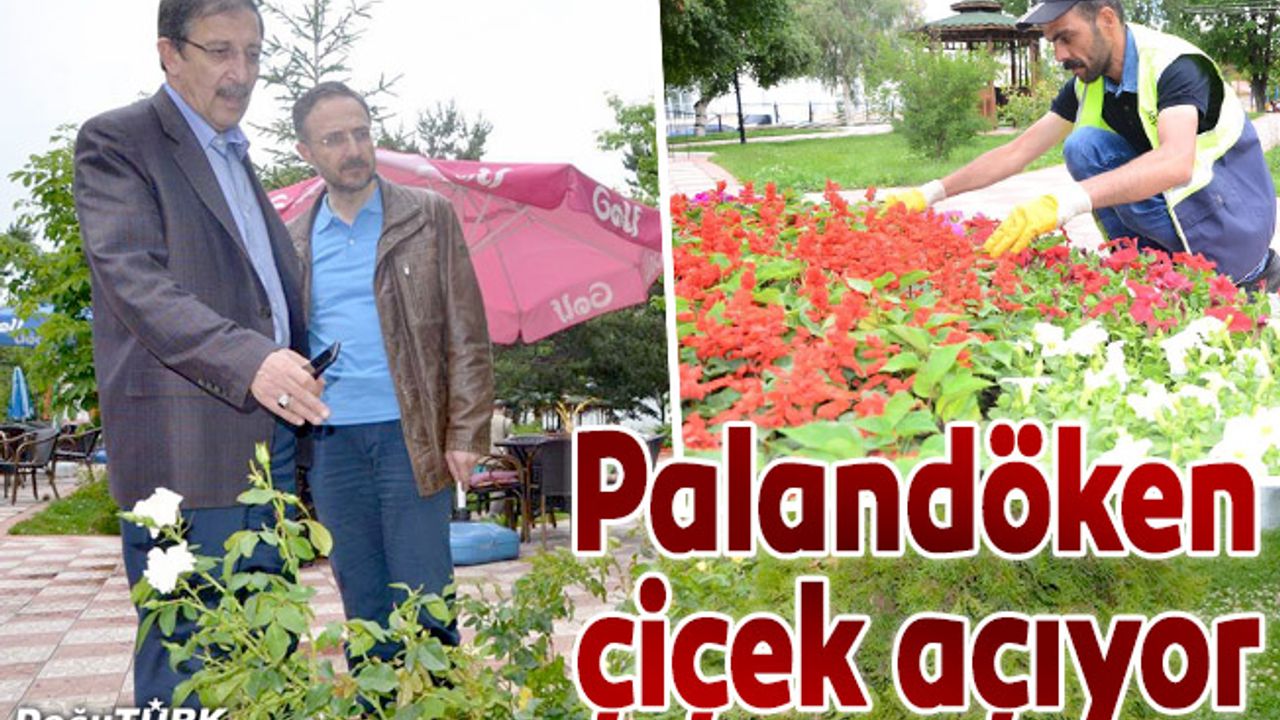 Palandöken Belediyesi ilçeyi çiçeklerle donatıyor