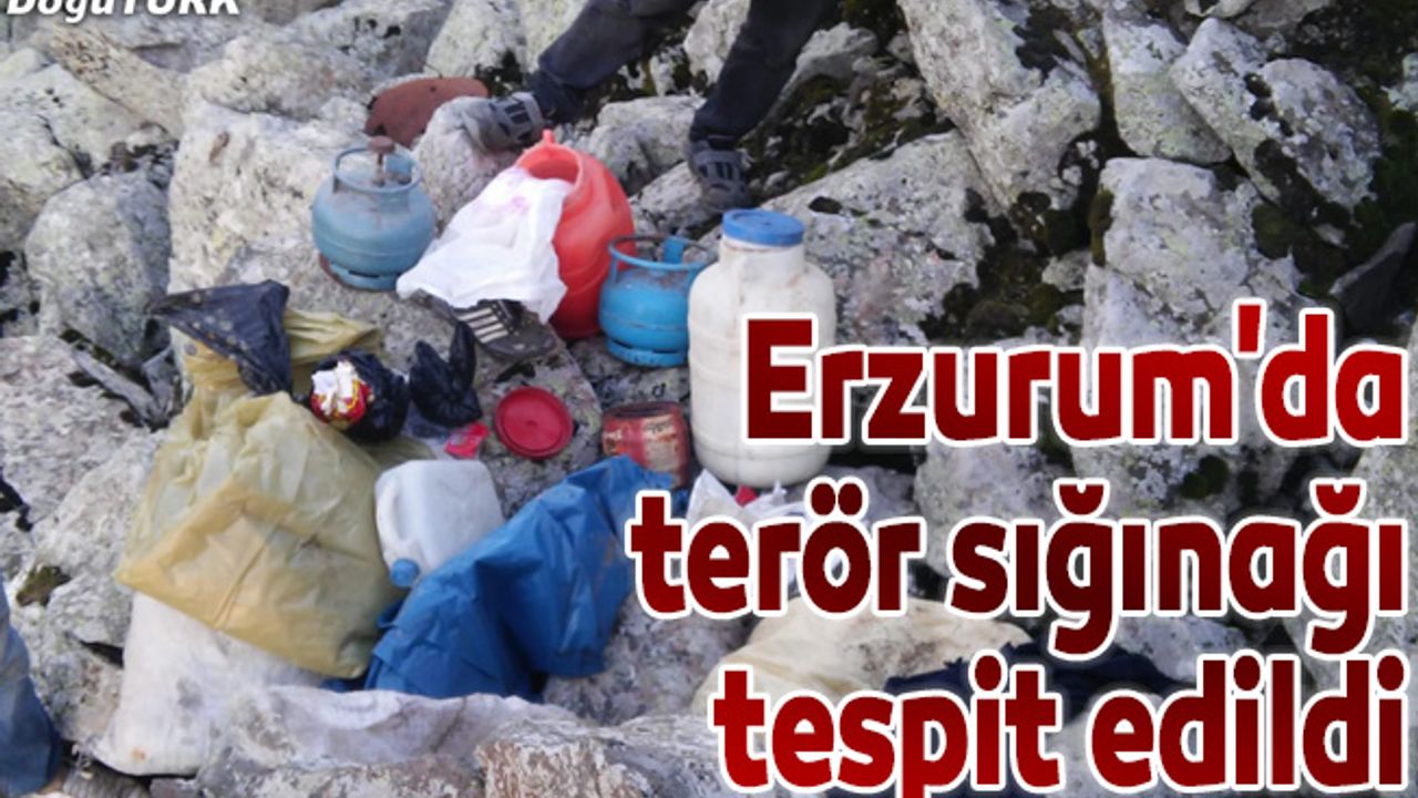 Erzurum'da teröristlere ait sığınak tespit edildi