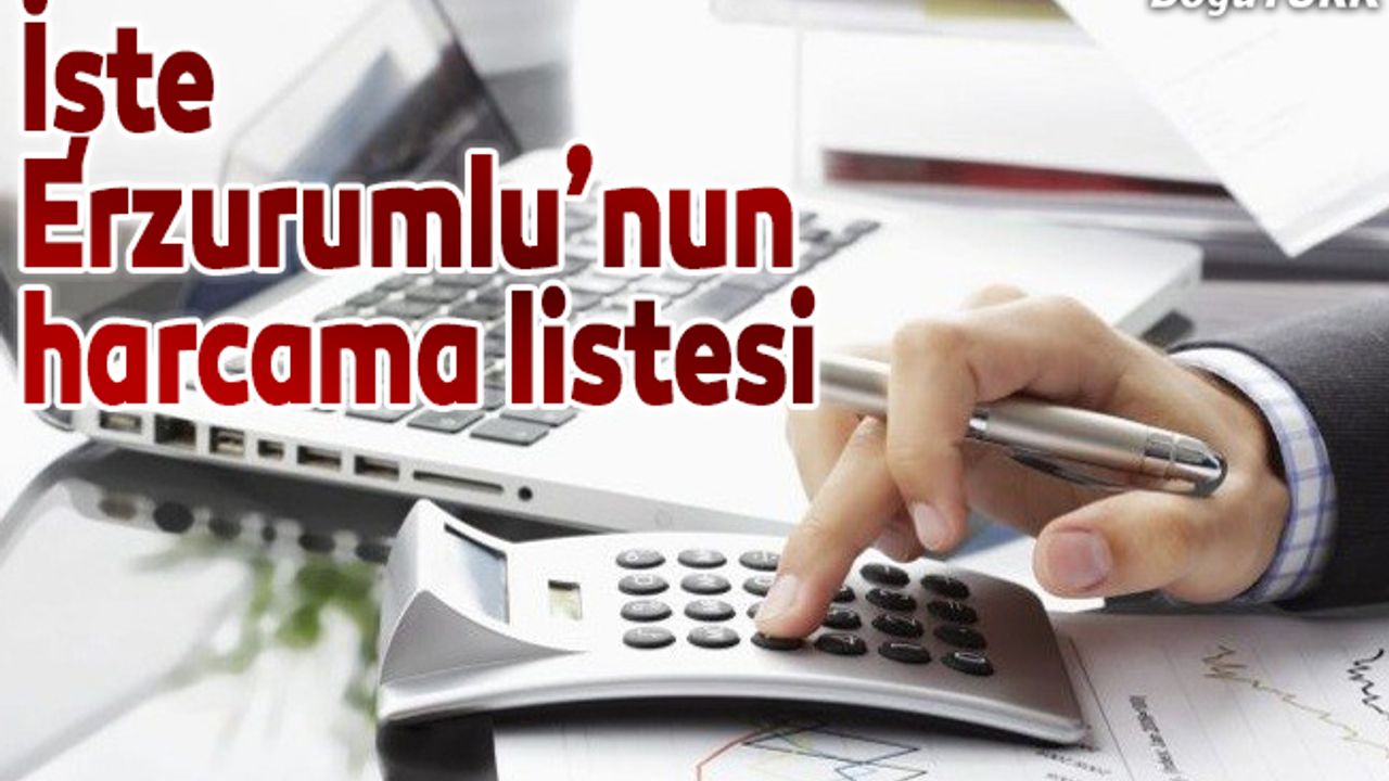 İşte Erzurumlunun harcama listesi