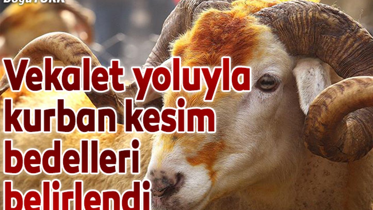 Vekalet yoluyla kurban kesim bedelleri belirlendi