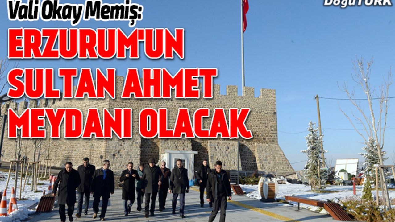 Vali Memiş, tarihi ve kültürel mekanları inceledi