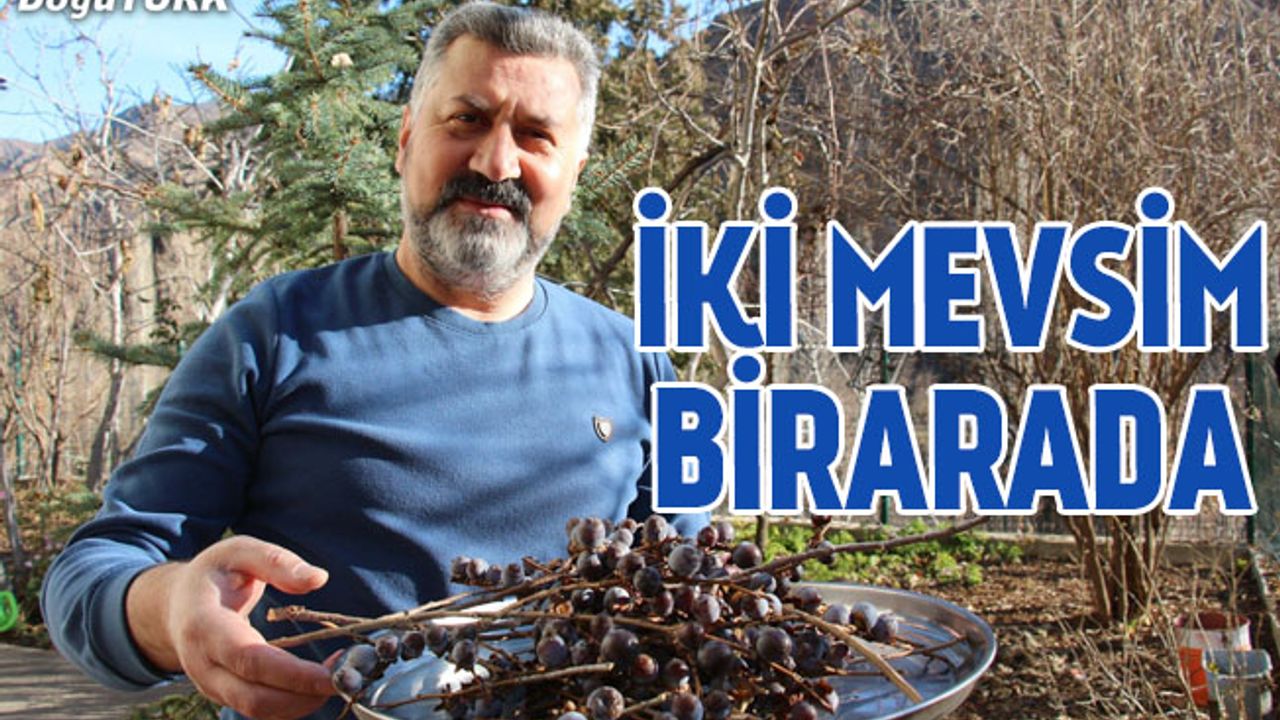 Erzurum'da kış, Olur'da bahar havası