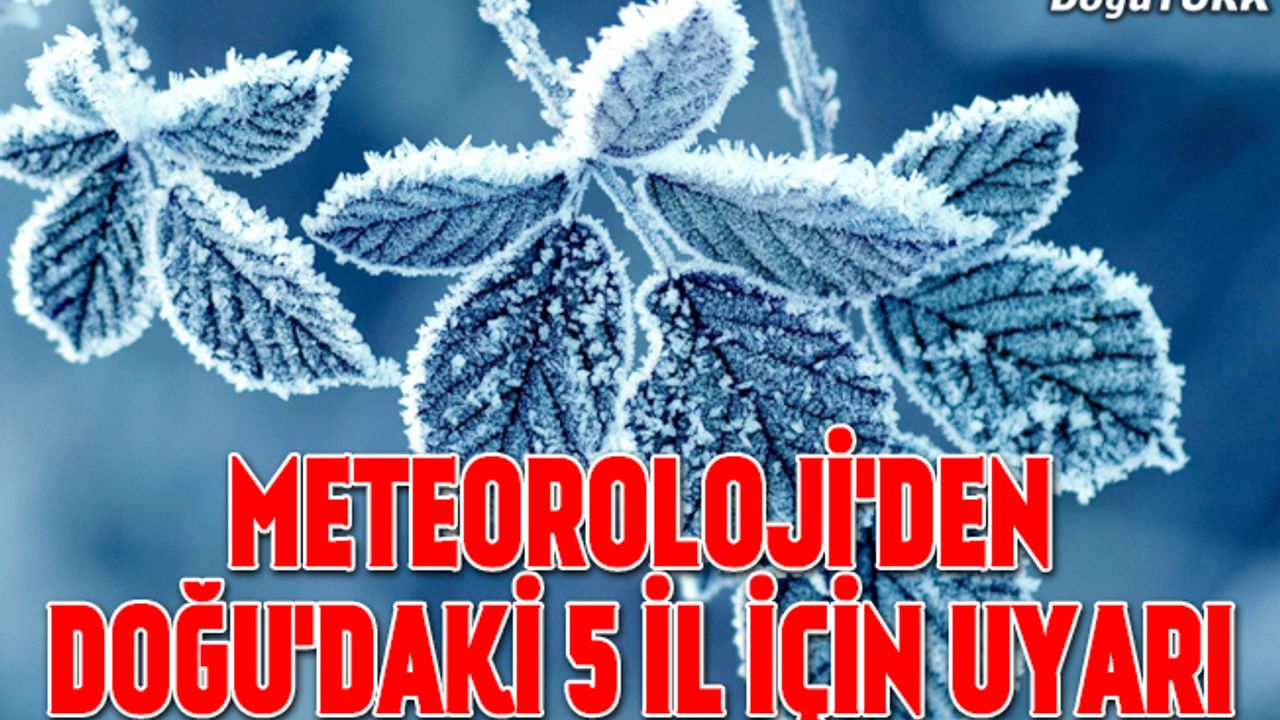 Meteorolojiden 5 il için "zirai don" uyarısı