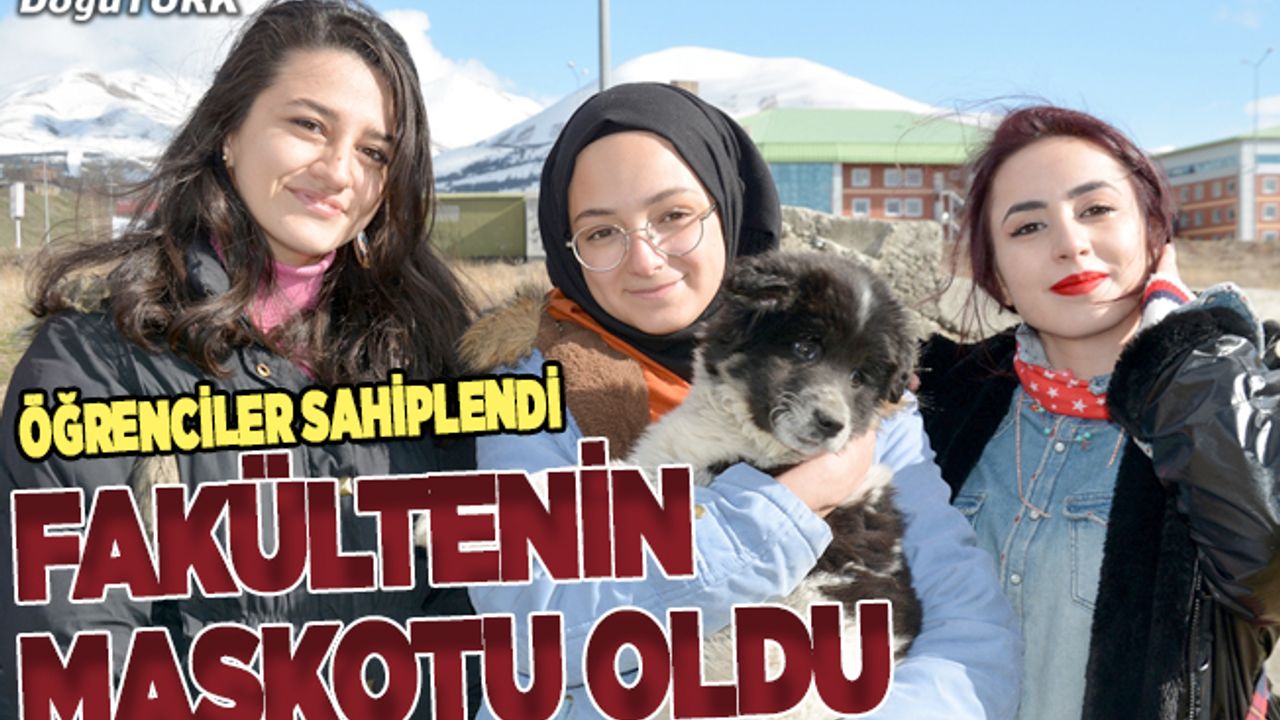Öğrencilerin sahiplendiği köpekler fakültenin maskotu oldu
