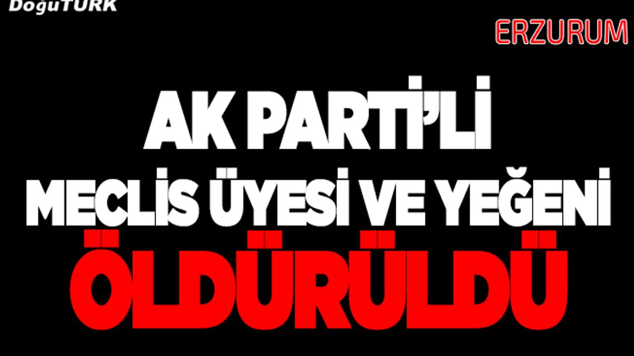 AK Partili meclis üyesi ve yeğeni silahla öldürüldü