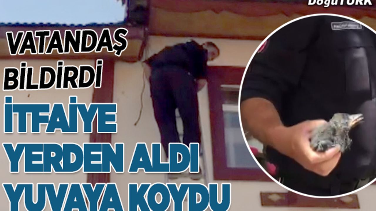 İtfaiye ekipleri karga yavrusu için seferber oldu