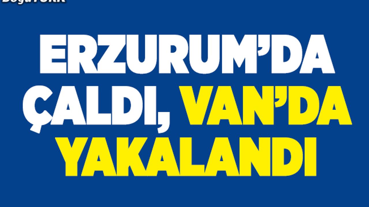 Erzurum'da çaldı, Van'da yakalandı