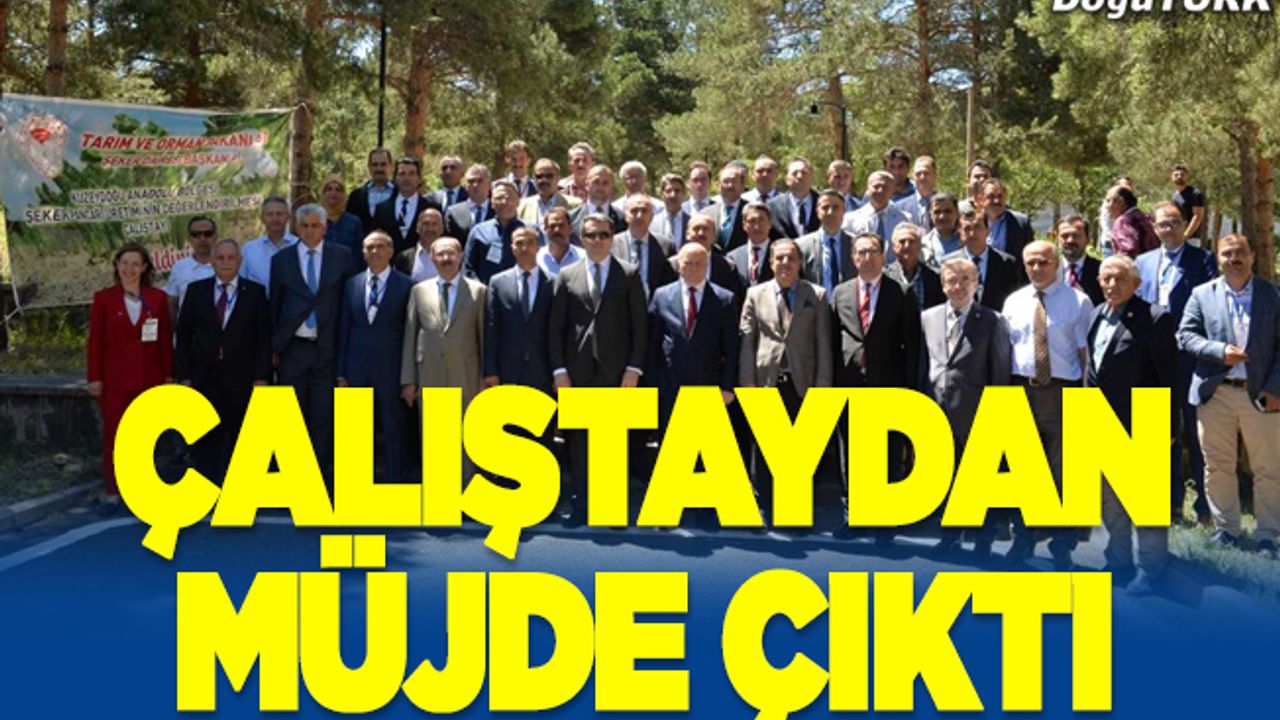 Şeker pancarı çalıştayında 'kota' müjdesi