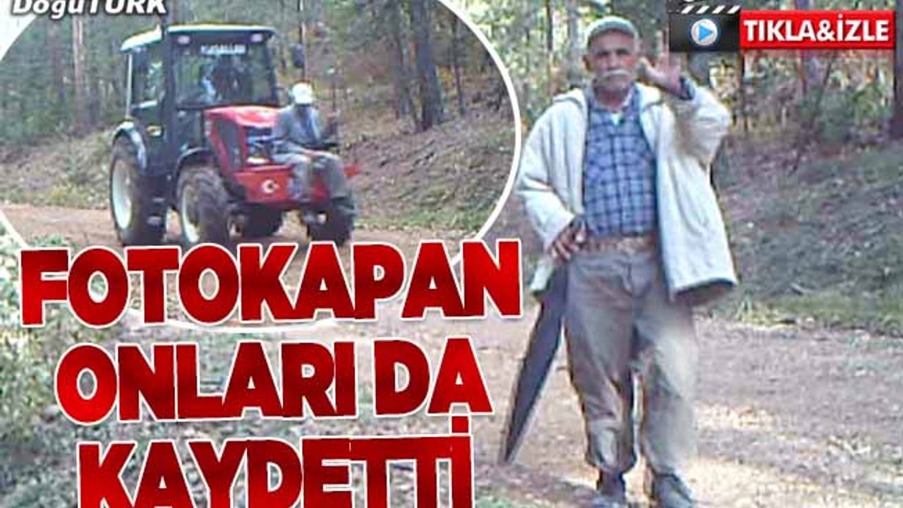 Fotokapanlar bu kez insanların renkli yaşamını kaydetti