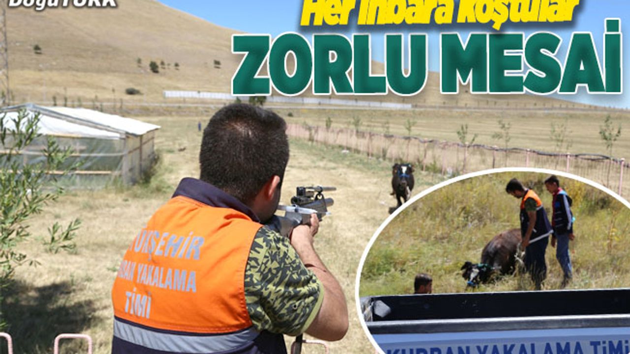 Kurban yakalama timinin zorlu bayram mesaisi