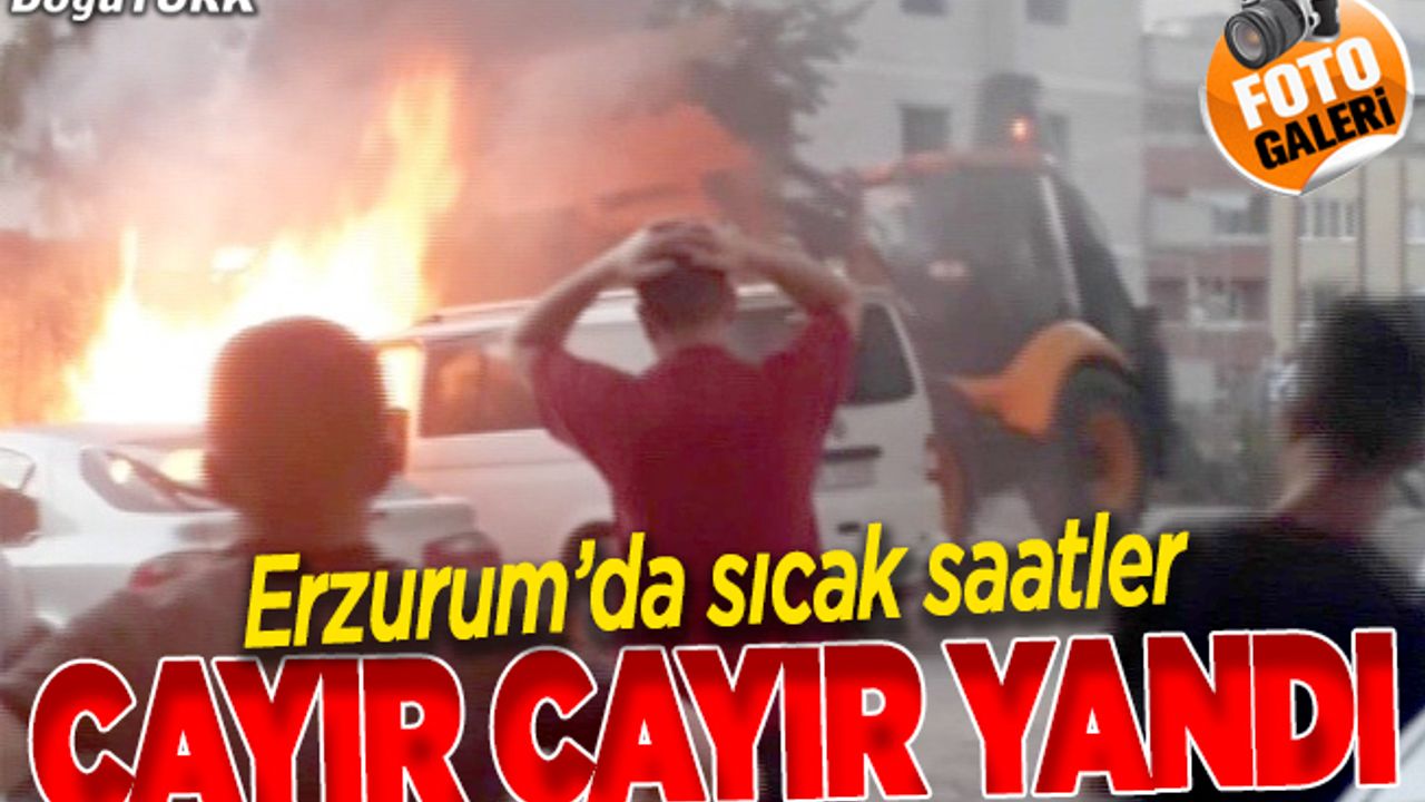 Park halindeki araç alev alev yandı