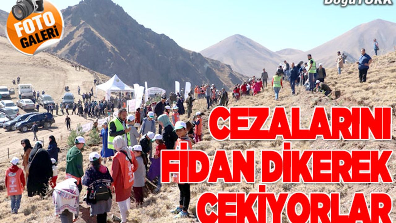 Denetimli serbestlik yükümlüleri cezalarını fidan dikerek çekiyor