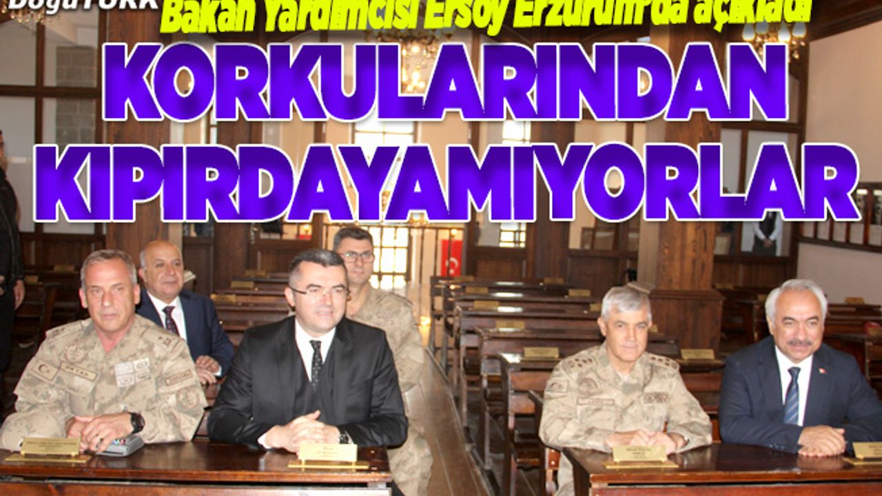 Ersoy: Terör örgütü korkusundan yerlerinden kıpırdayamaz hale geldi
