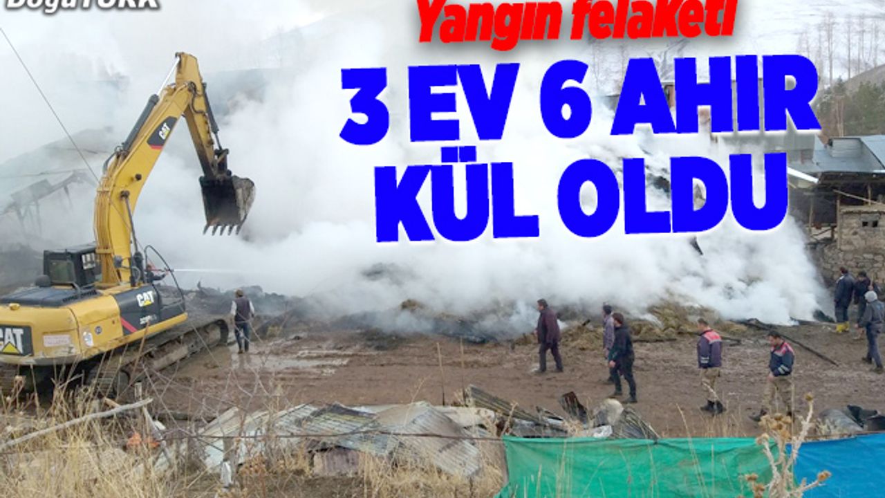 İspir’de 3 ev ve 6 ahır yandı