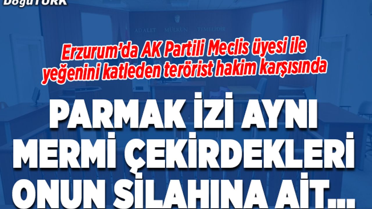 AK Parti'li Küçük ile yeğeninin katiline ağırlaştırılmış müebbet