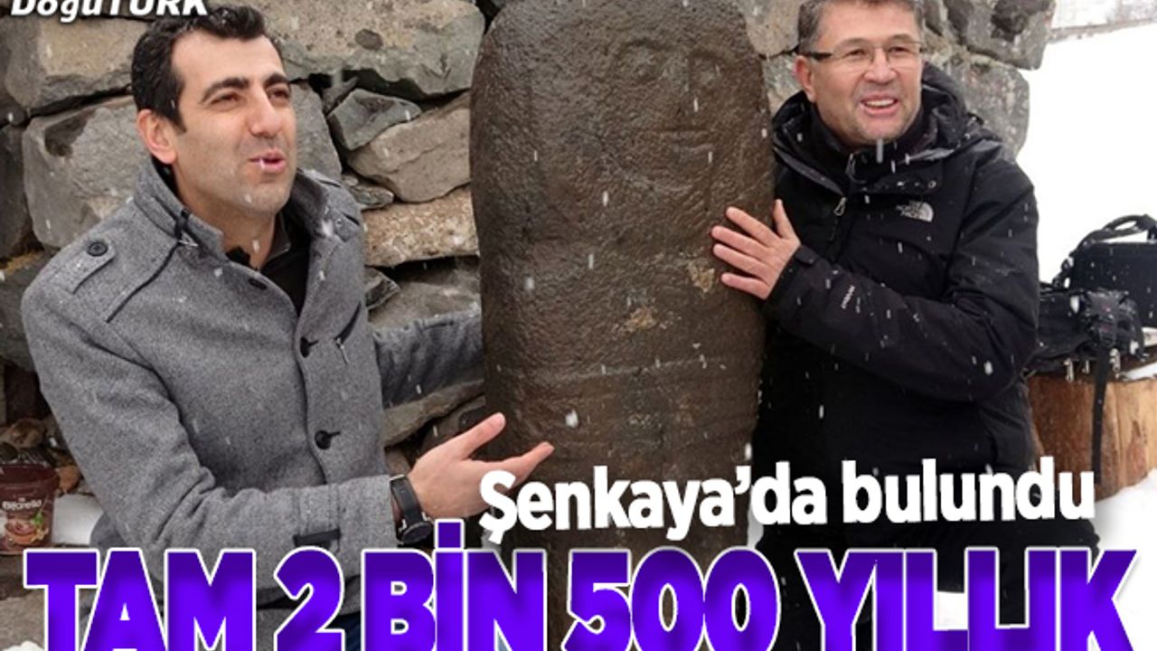 Şenkaya'da bulundu, koruma altına alındı