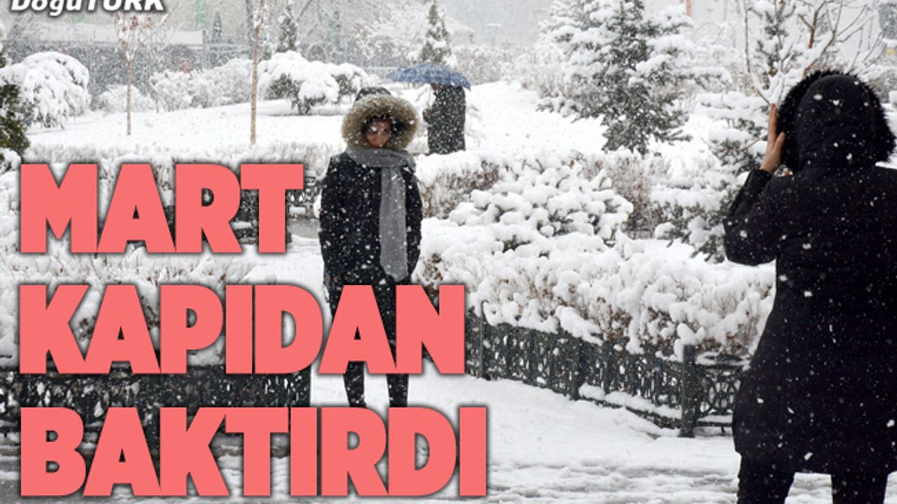 Doğu Anadolu'da kar yağışı etkili oluyor