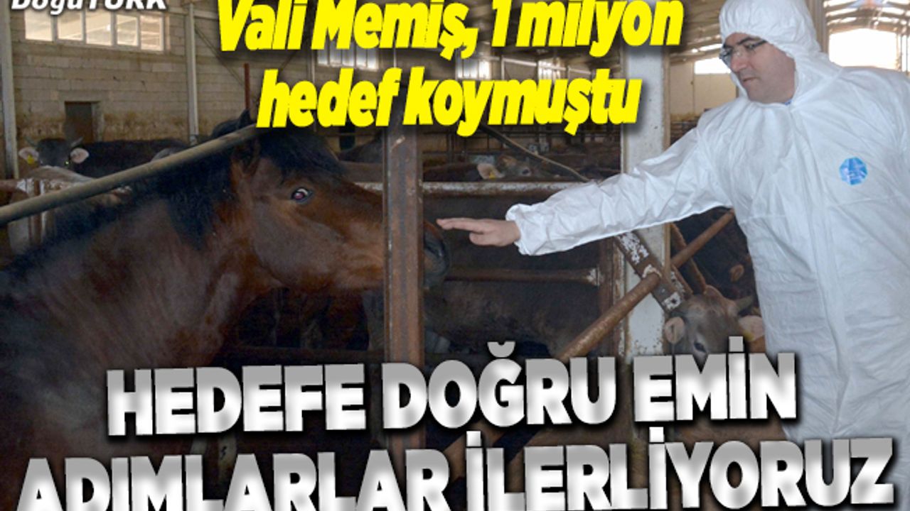 Erzurum'da büyükbaş hayvan sayısında hedef 1 milyon