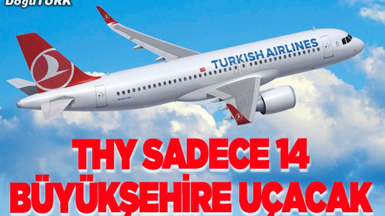 THY iç hatlarda 14 büyükşehire sefer düzenleyecek