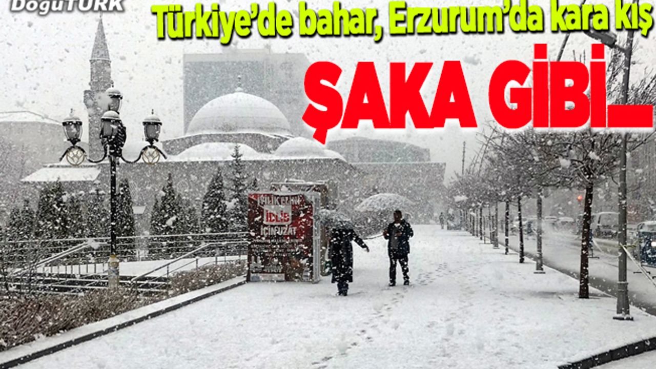 Erzurum yoğun kar yağışıyla beyaza büründü