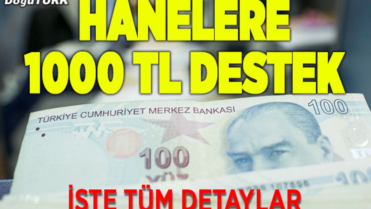 Hanelere 1000'er lira desteğin başvuru detayları belli oldu