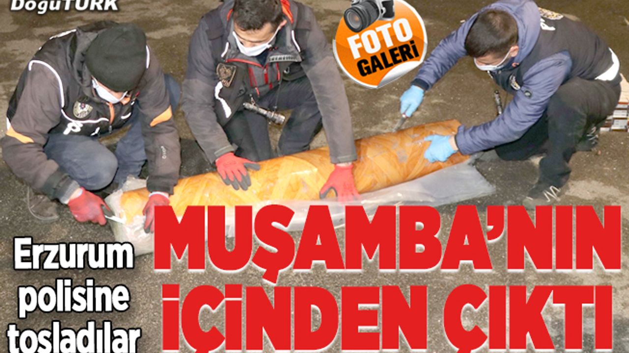TIR dorsesinde muşamba rulosunda ele geçirildi