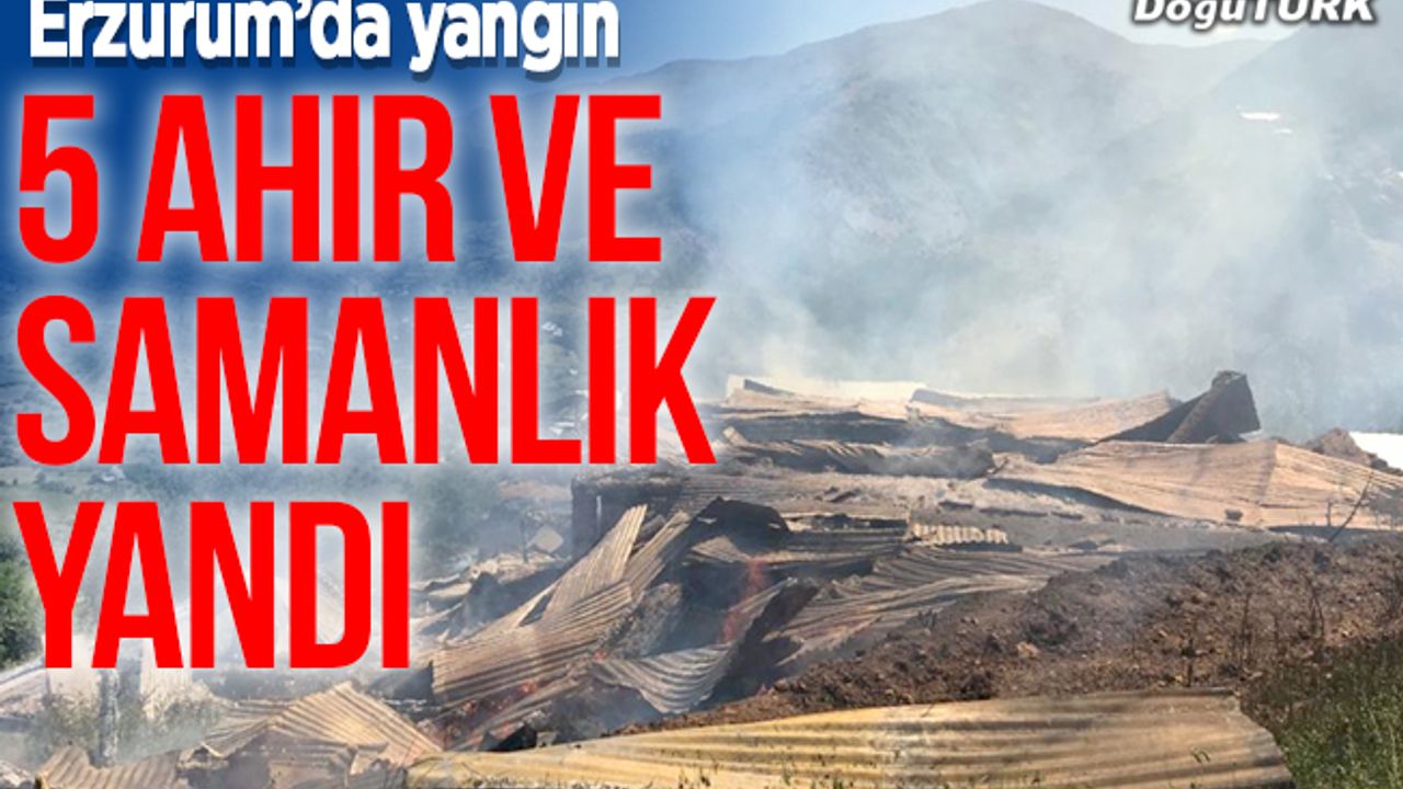 Erzurum'da 5 ahır, birer samanlık ve tahıl ambarı yandı