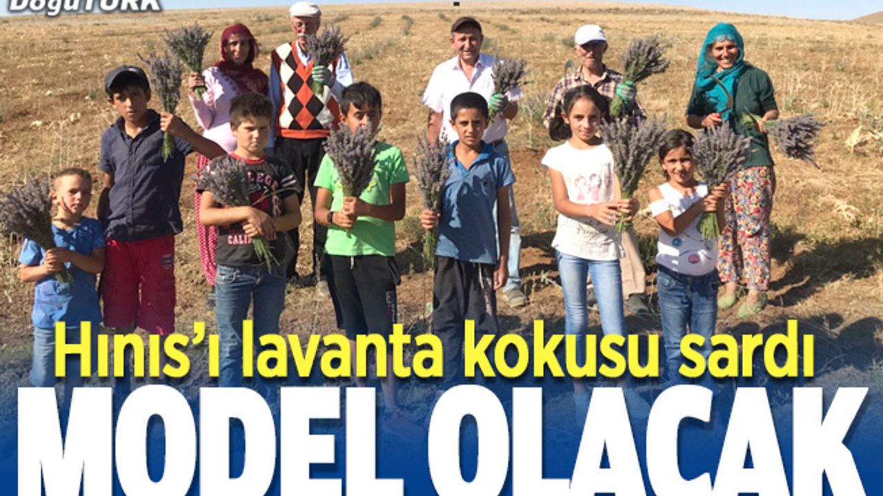 Sıcak iklimi seven lavantalar kara kışıyla ünlü Doğu'nun bahçelerini süsleyecek