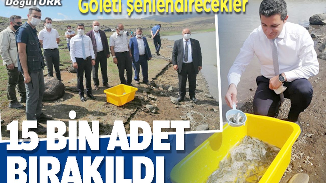 15 bin kırmızı benekli alabalık yavrusu gölete bırakıldı