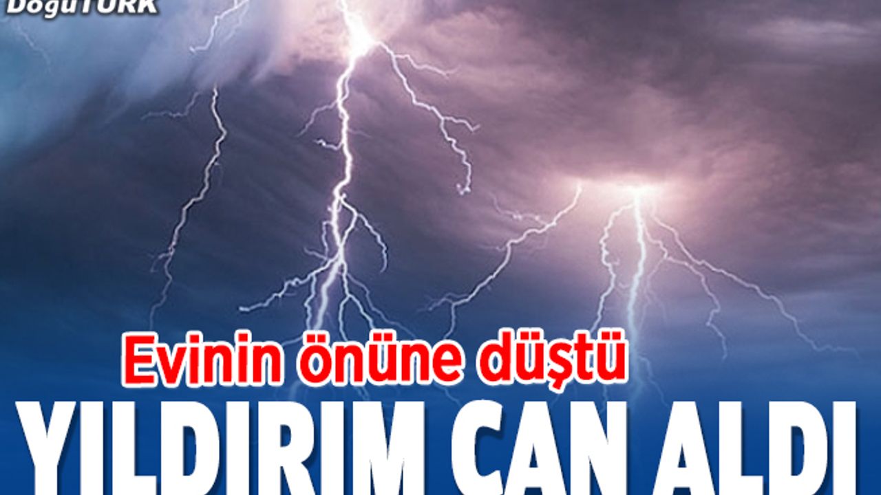 Erzurum'da yıldırım isabet eden bir kişi öldü