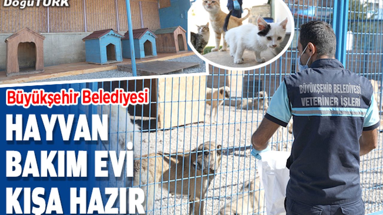 Erzurum Büyükşehir Belediyesi Hayvan Bakım Evi kışa hazır