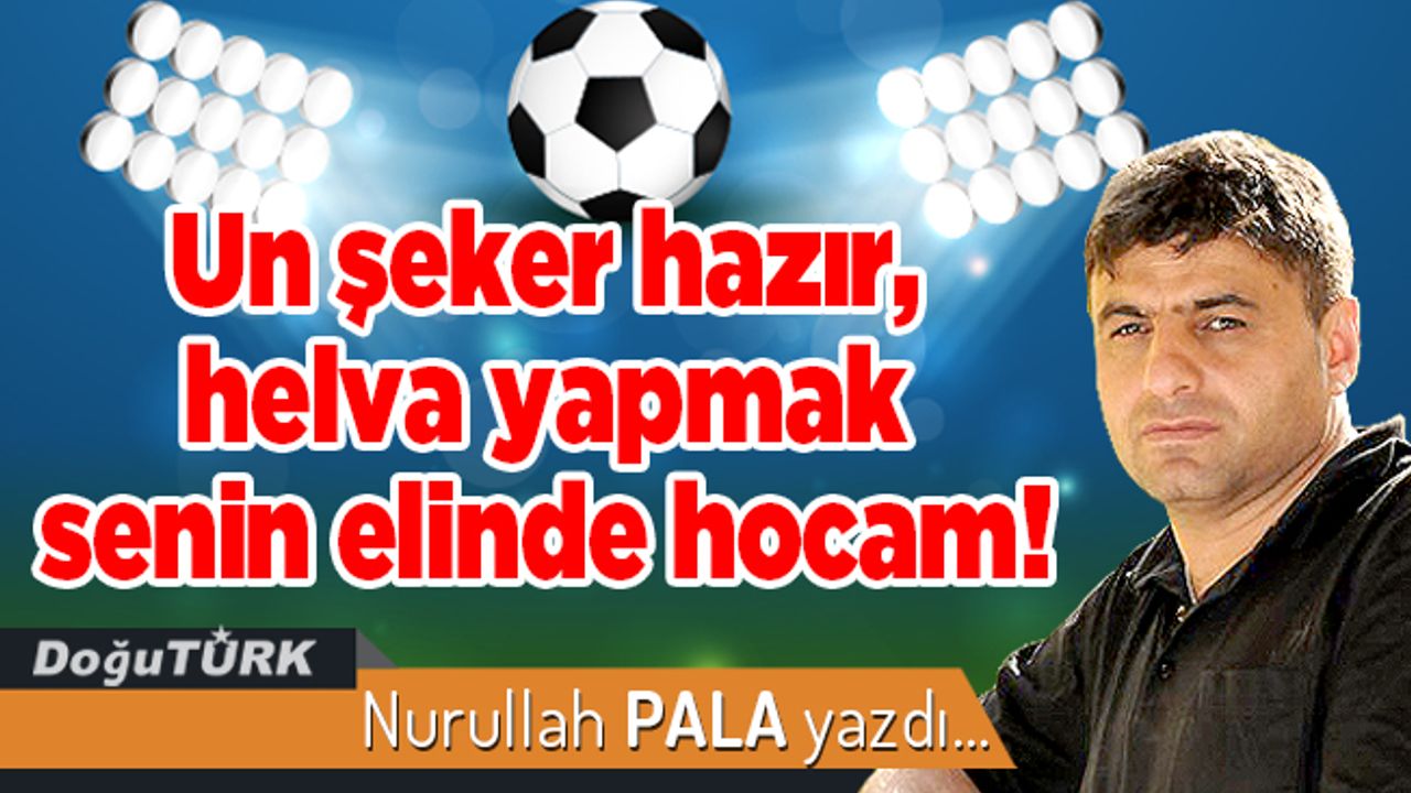 Un şeker hazır, helva yapmak senin elinde hocam!