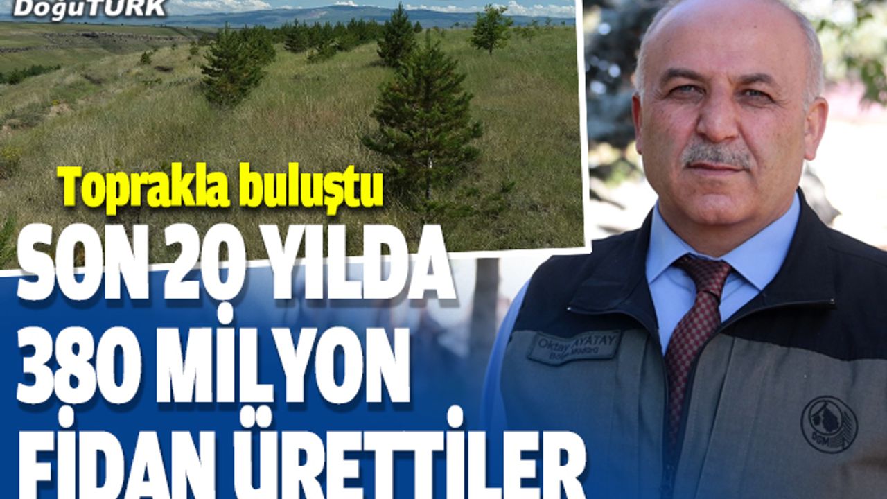 "Kış kentinde" üretilen fidanlar şehirleri ağaçlandırdı