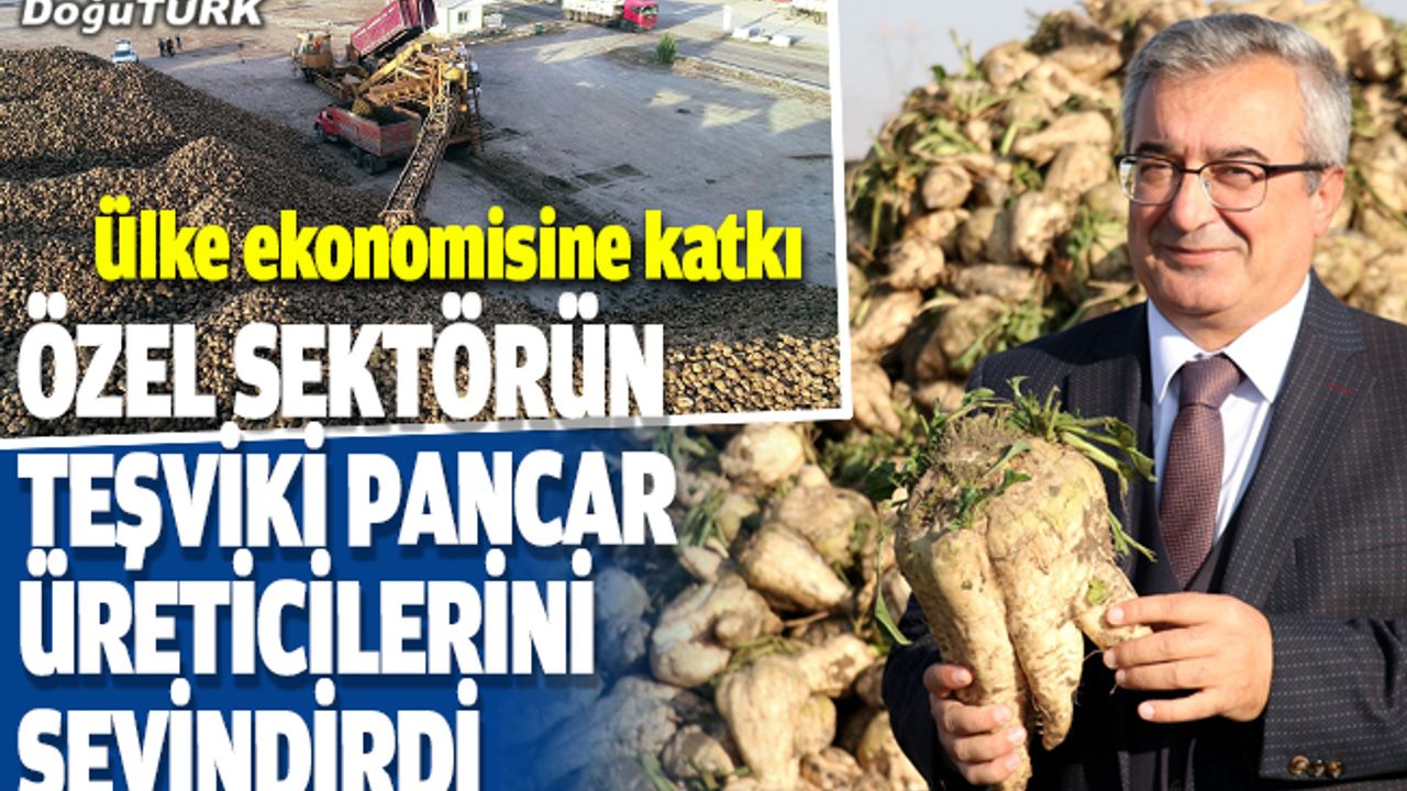 Özel sektörün teşviki Doğu Anadolu'daki pancar üreticilerini sevindirdi