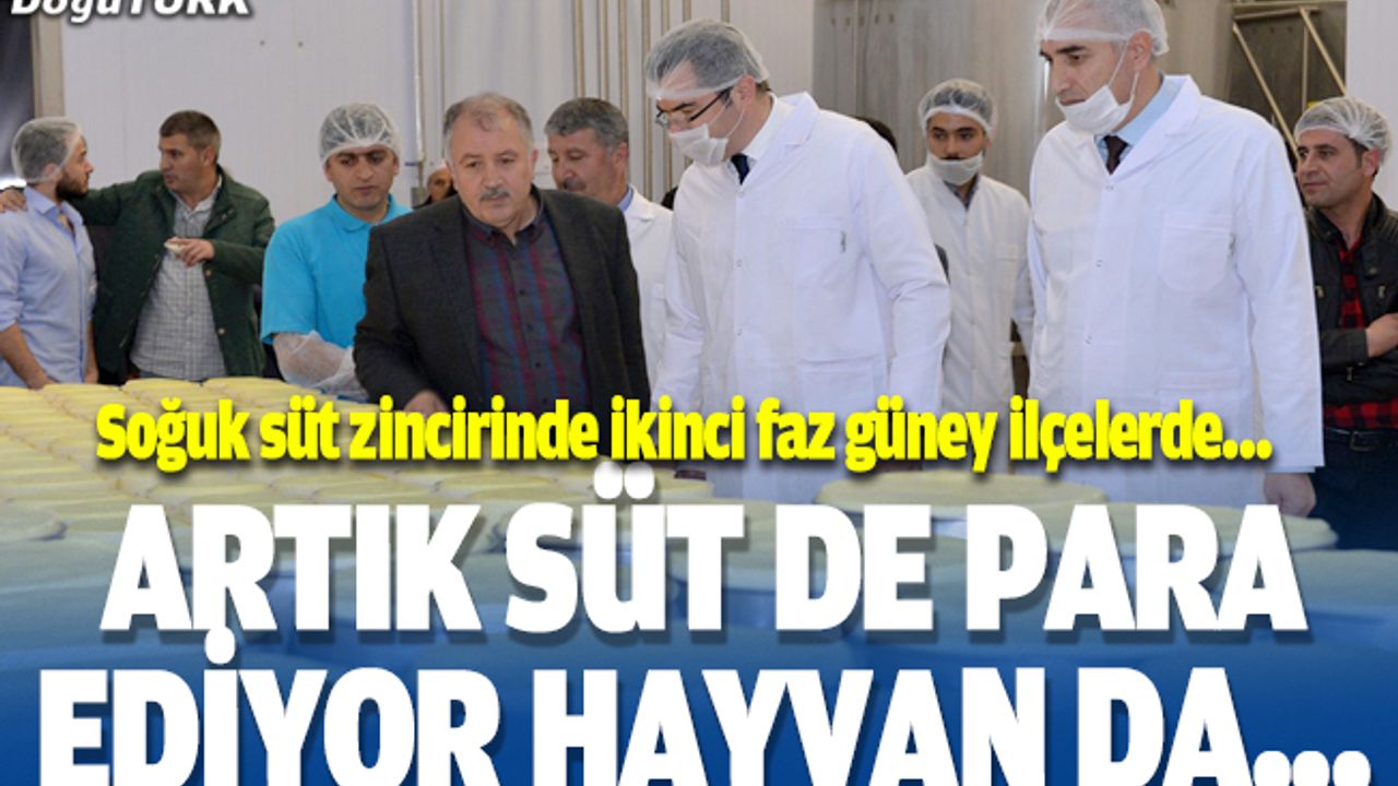 ​​​​​​​Artık süt de para ediyor hayvan da…