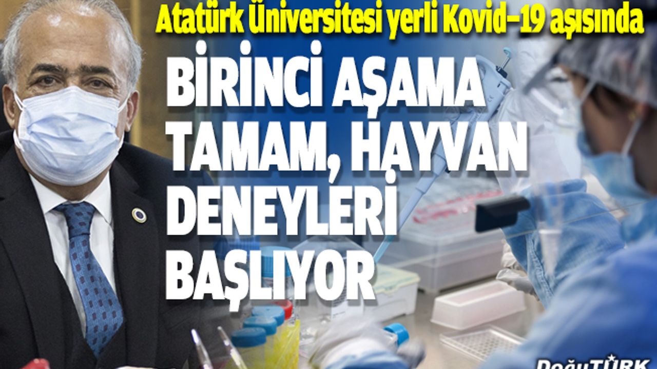 Atatürk Üniversitesi yerli Kovid-19 aşısında hayvan deneylerine başlayacak