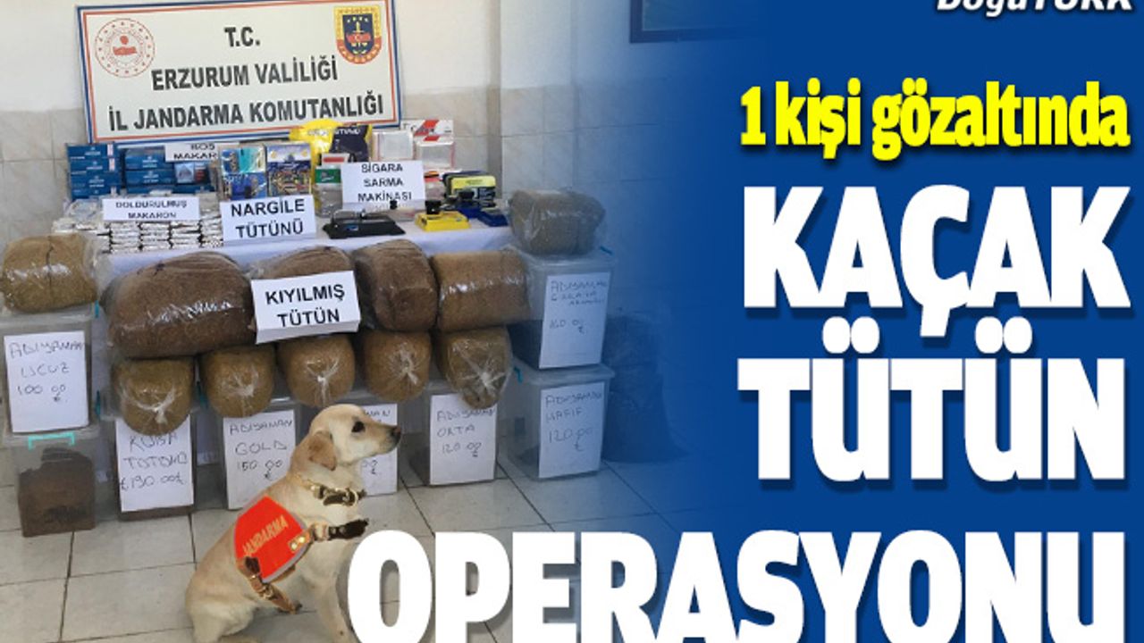 Erzurum'da kaçak tütün operasyonunda bir kişi yakalandı