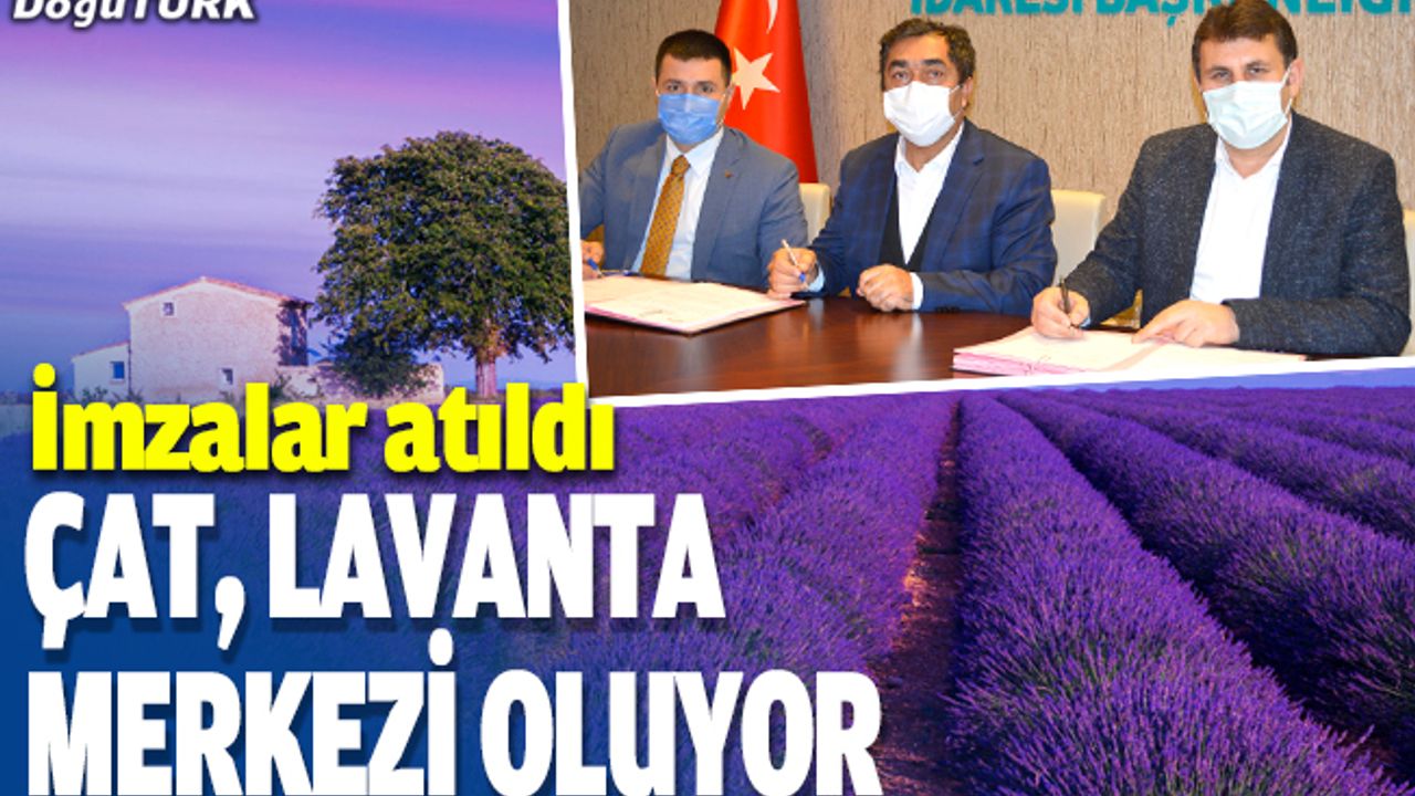 Çat’ta lavanta üretimi için protokol imzalandı