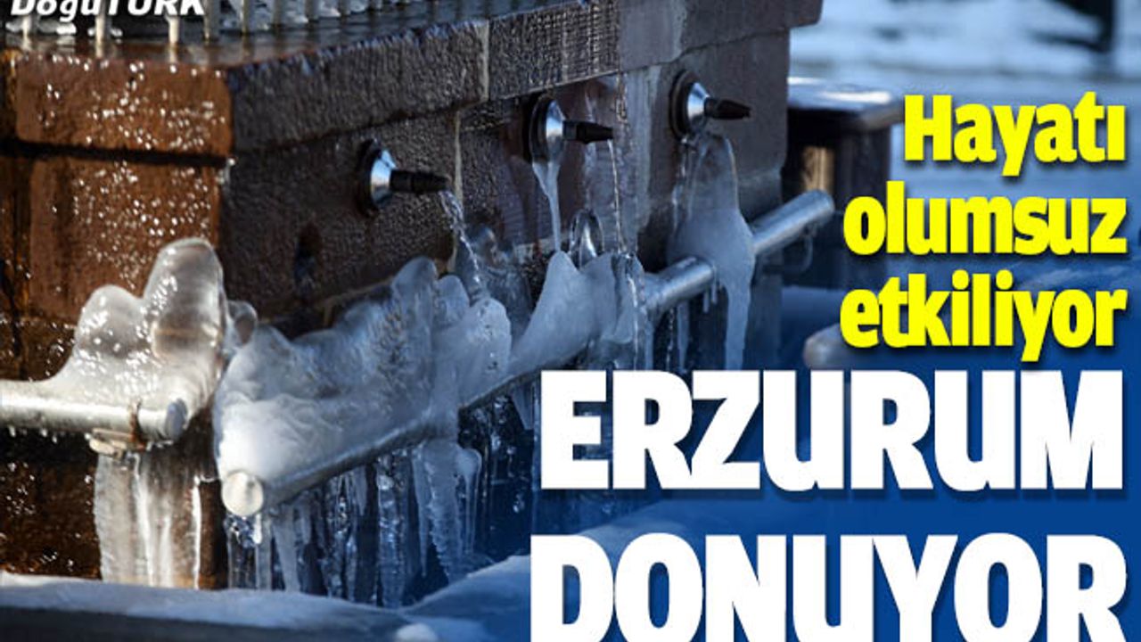Dondurucu soğuklar yaşamı olumsuz etkiliyor